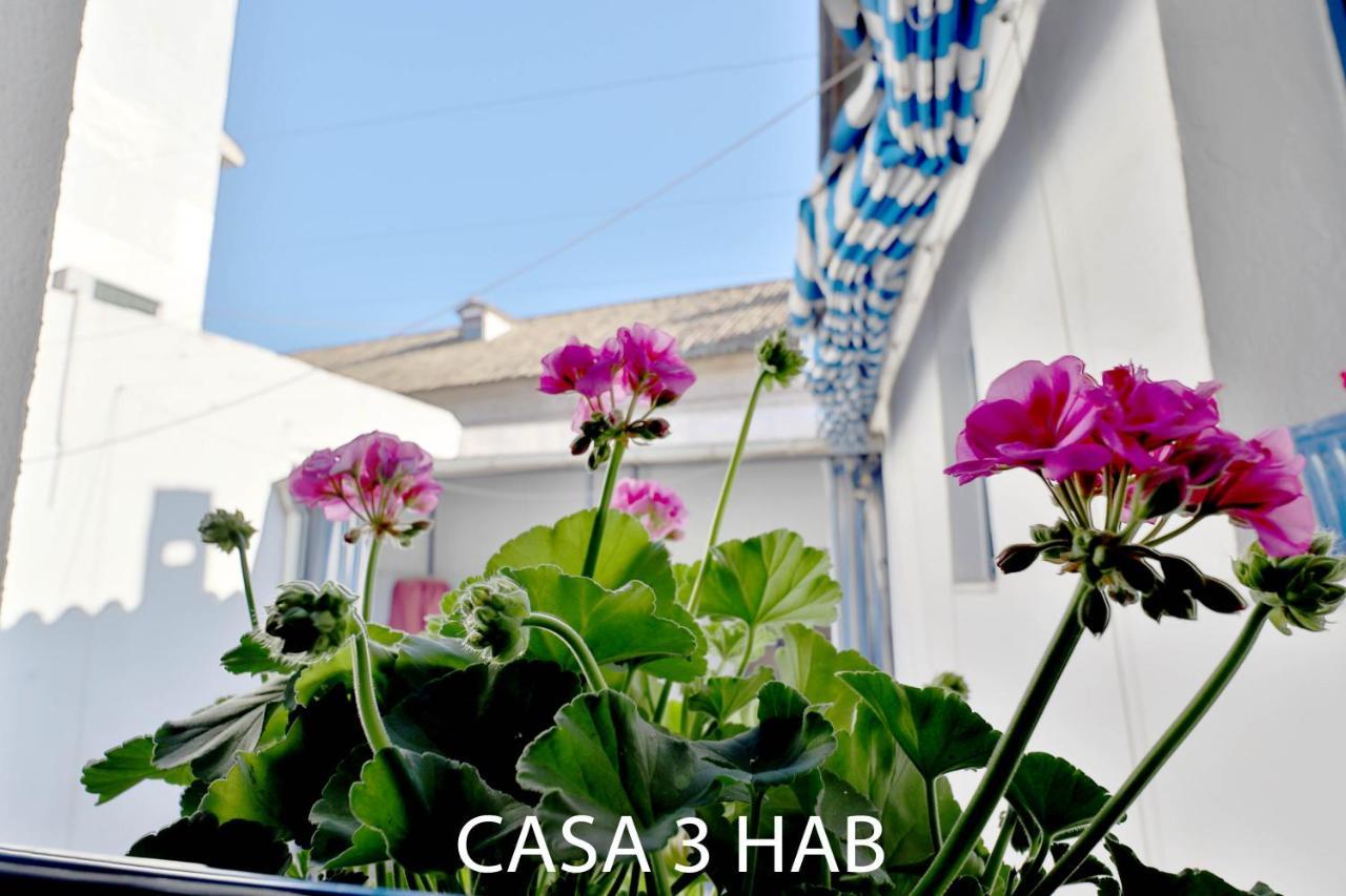 קורדובה Casas Caballerizas Mezquita 1 Y 3 Hab מראה חיצוני תמונה